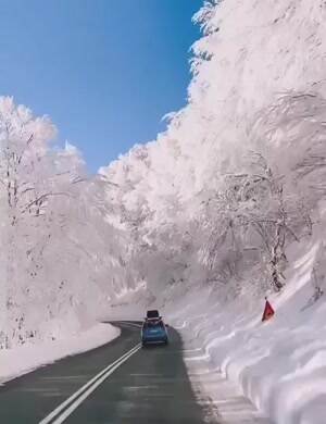 Cool Drive