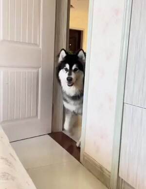 Can we play now please