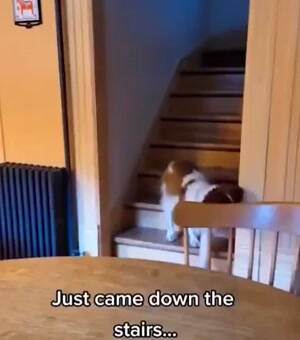 Just going to walk over here