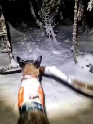 Snow time