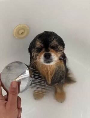 Twas bath time