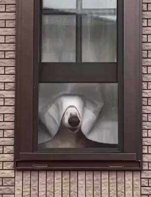 What is out there