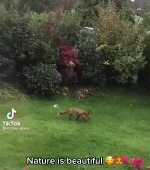 Nature is beautiful