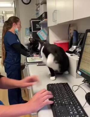 Do not touch my keyboard