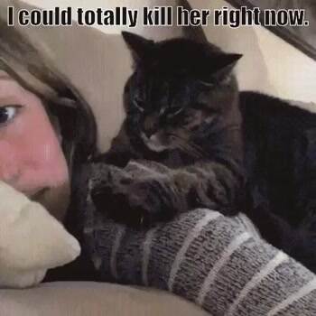 I could do it