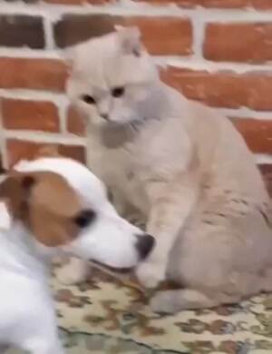 You best back off