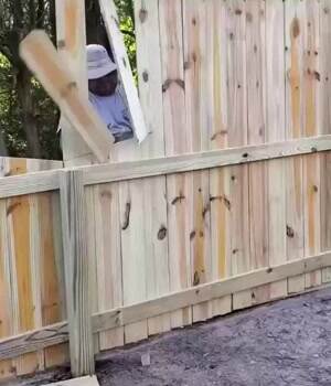 Shaping the fence