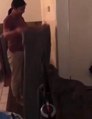 Got away from the dog