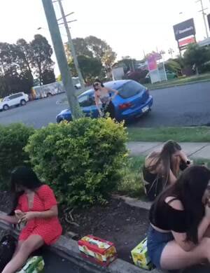 Jumping into the bush