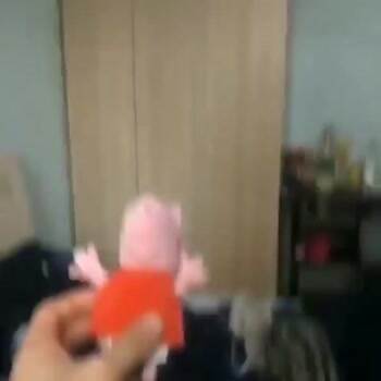 awesome cat playing some fetch