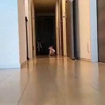 brought you something nice