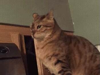 get away from me