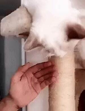 hey are you kind of tired   Copy