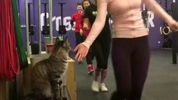 high fives for all