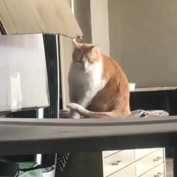 i will get you yet