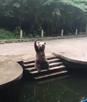 bro toss me one please