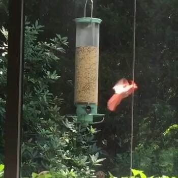 having a great time today