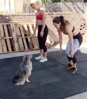 getting in a good workout