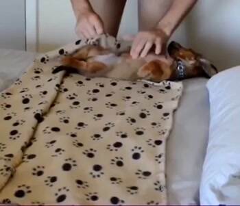 rolling up a burrito