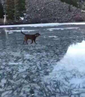 very slippery
