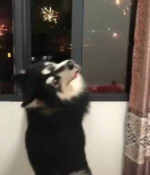 watching these fireworks
