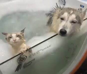 a very relaxing day for us