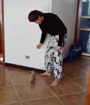 do a little dance