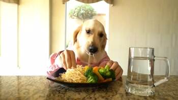 give me some spaghetti