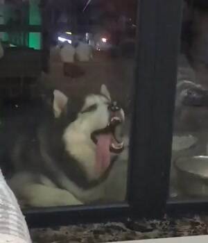 need to clean these windows up