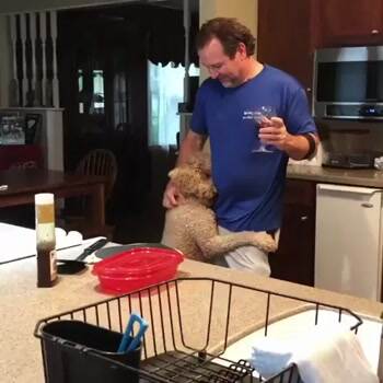 this cute puppy really wanted a hug