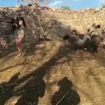 some instant karma