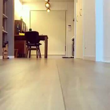 bouncing around the room