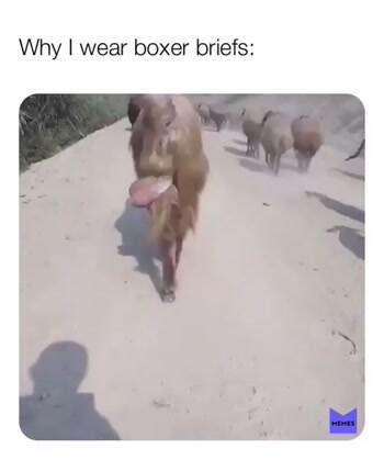 why i wear boxer briefs