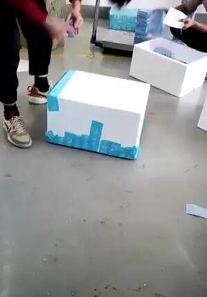 the fastest box man