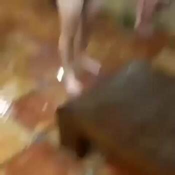 that was a nice try buddy