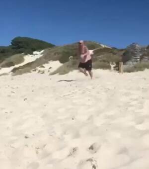 fat guys doing back flips