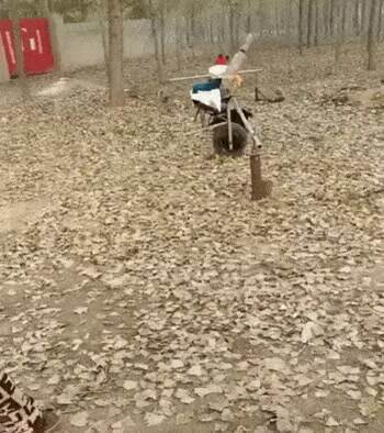 a ride for the kids
