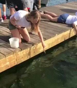 just wanted to feed the fish