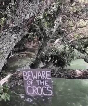 beware of the crocks