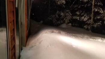 a little swim in the snow