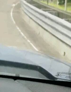 holding on for the ride