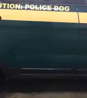 caution police dog