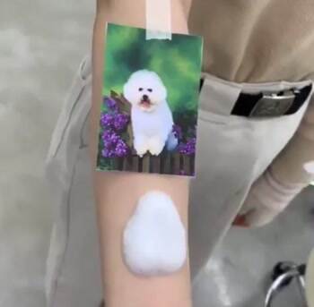 got a tattoo of my dog