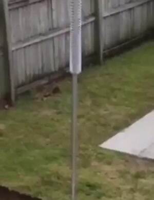 how to keep squirrels away