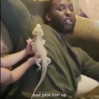 terrified of this harmless little guy