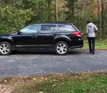 this dog loves the fall