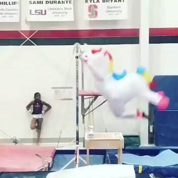 a trick pony