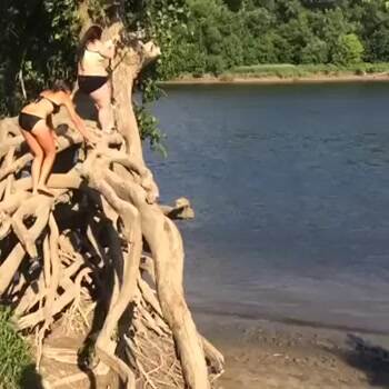 not too big to fail