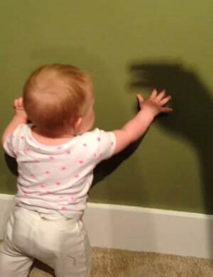 baby vs shadow