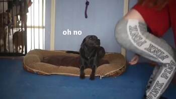 what are you doing sharon